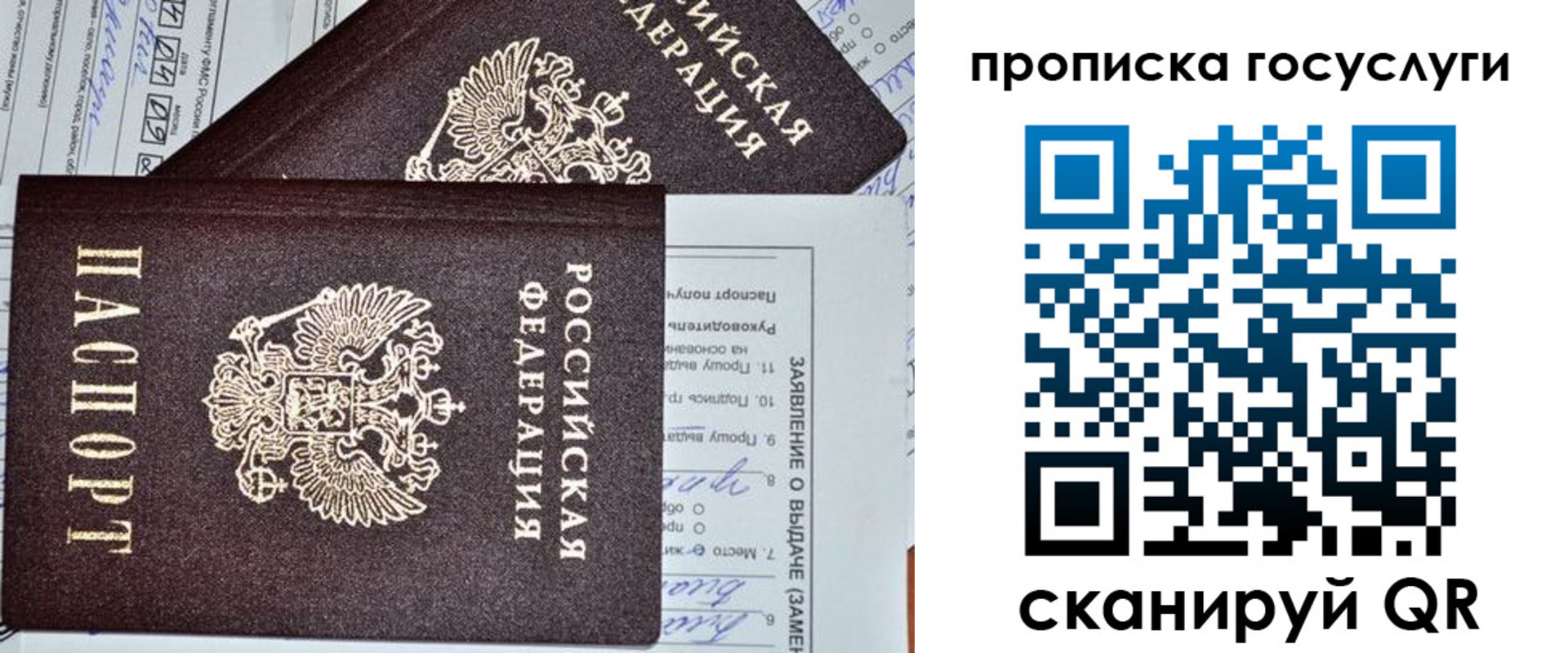 прописка паспорт в Костромской области